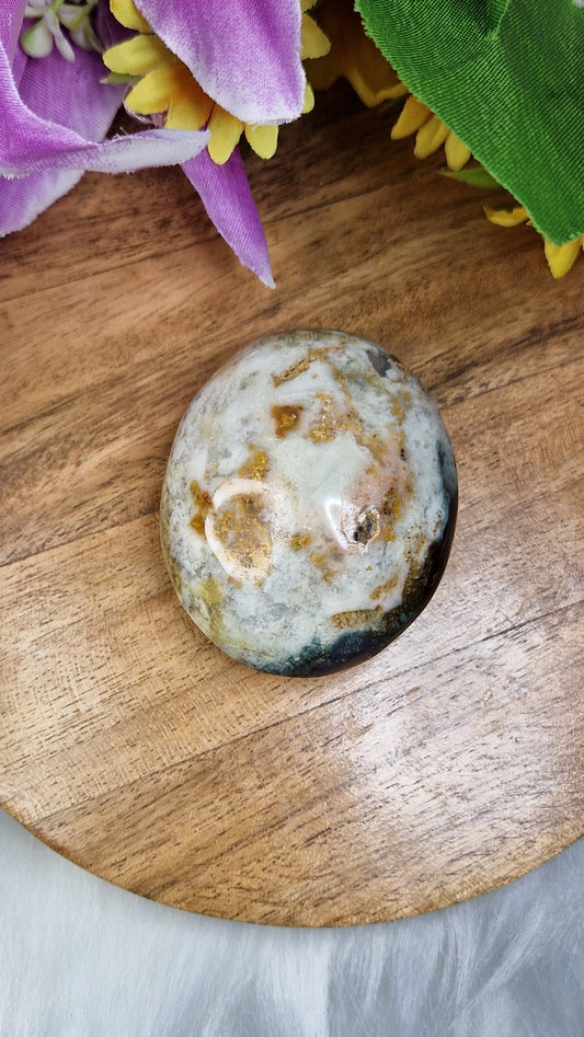 Ocean Jasper Palmstone - 424