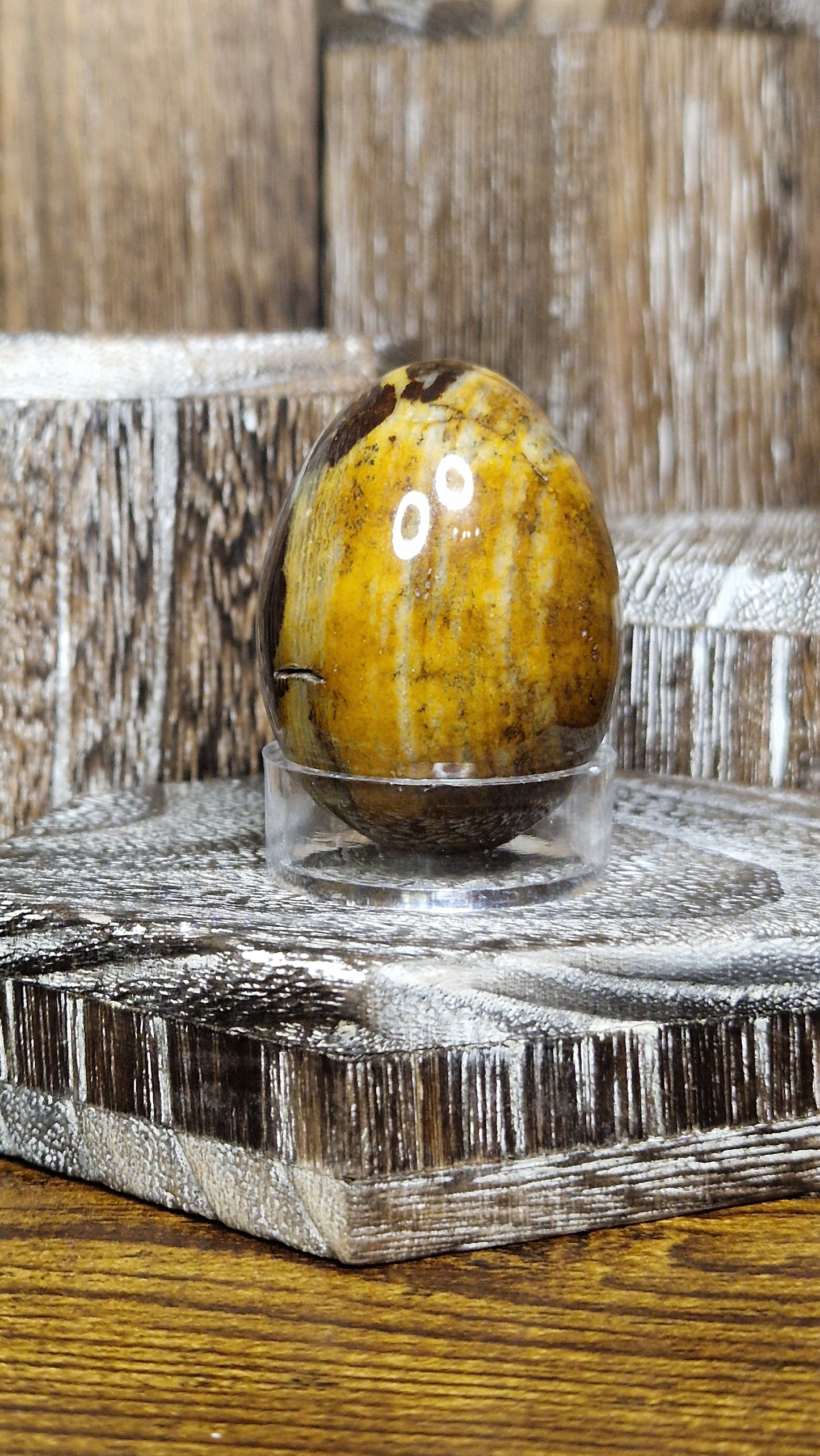 Petrified Wood - 19