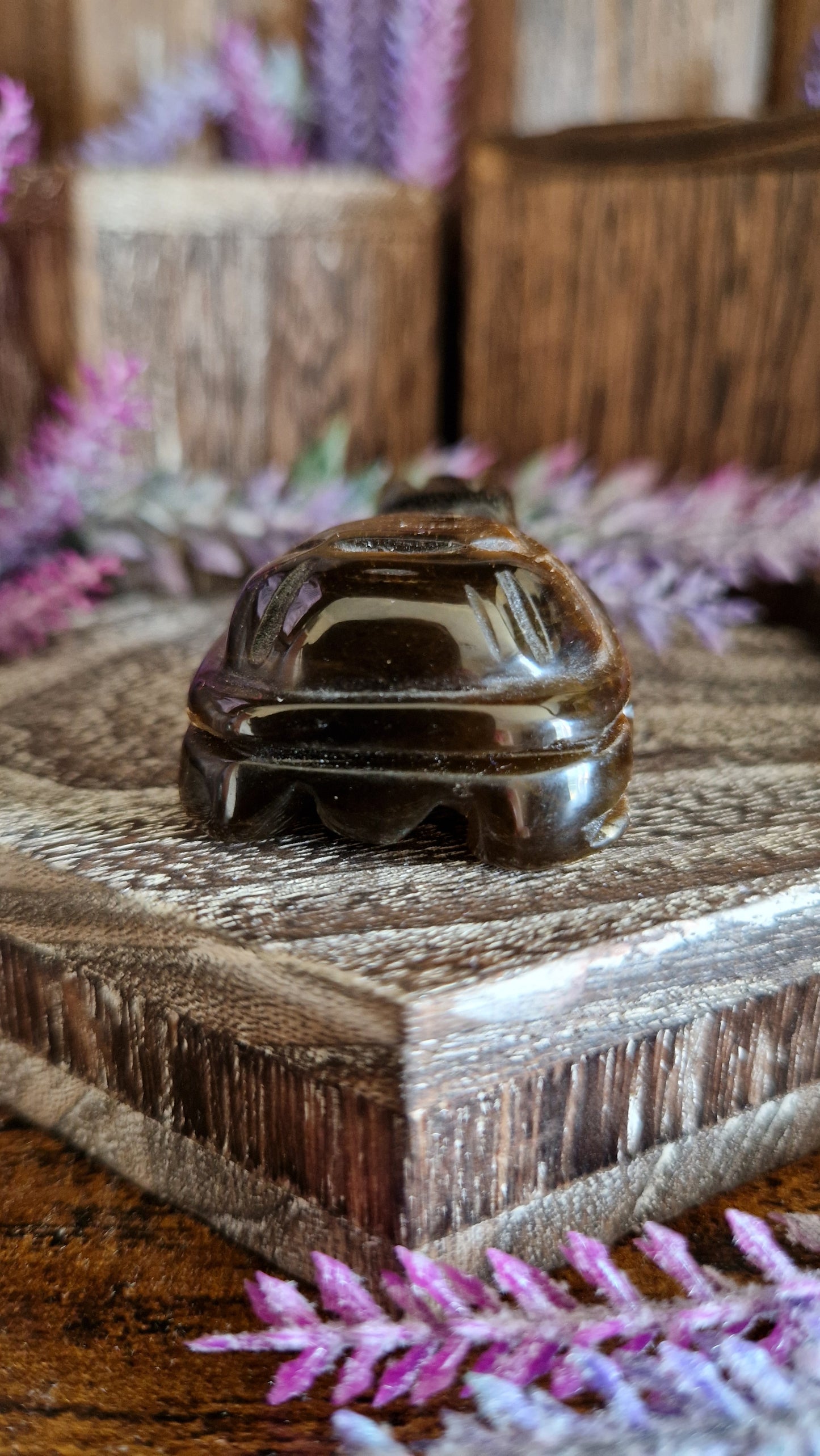 Tiger's Eye Turtle