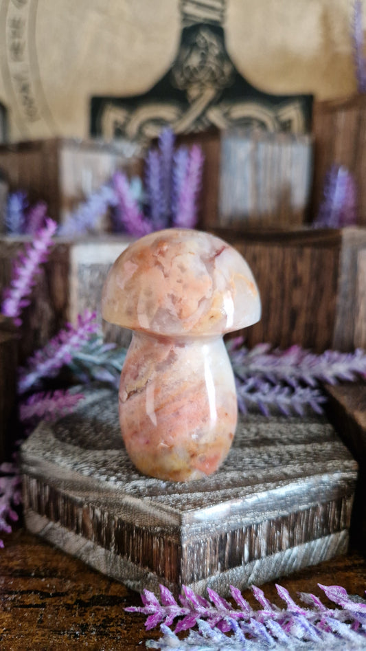 Flower Agate Mushroom