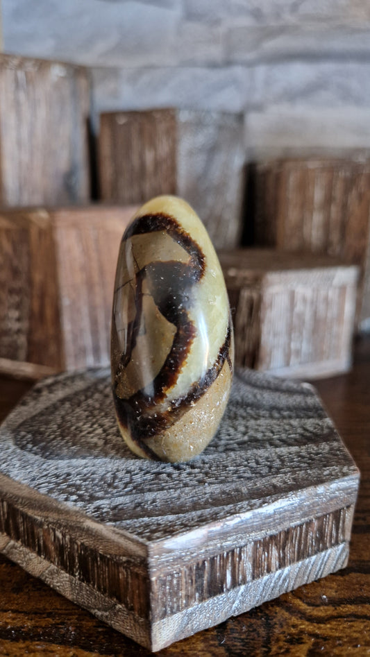 Septarian Free Form - 246