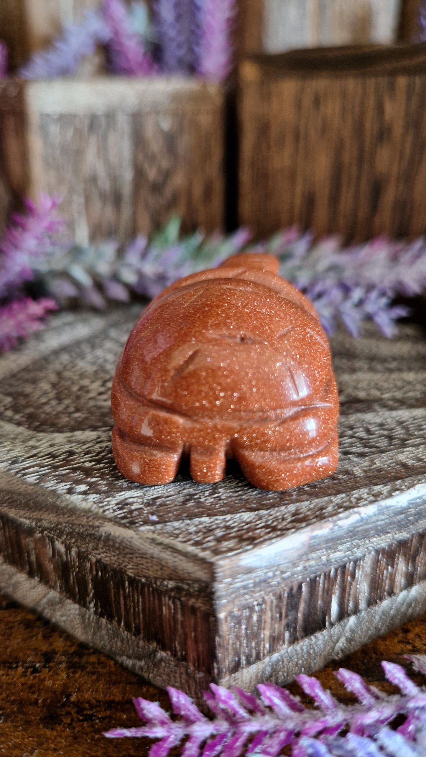 Sandstone Turtle