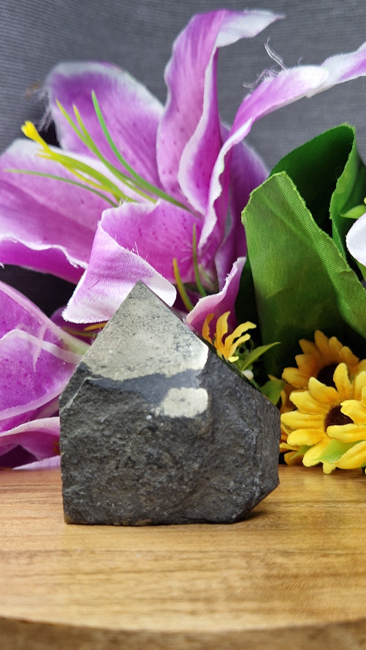 Pyrite Point - 81