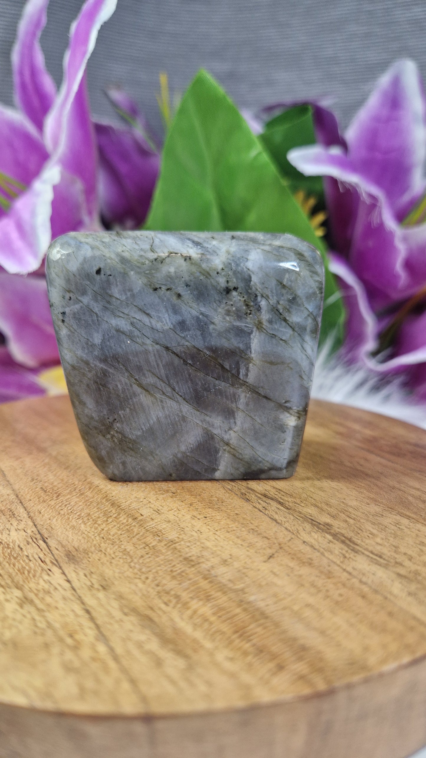 Labradorite Free Form - 36
