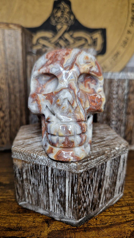 Crazy Lace Agate Skull - 4