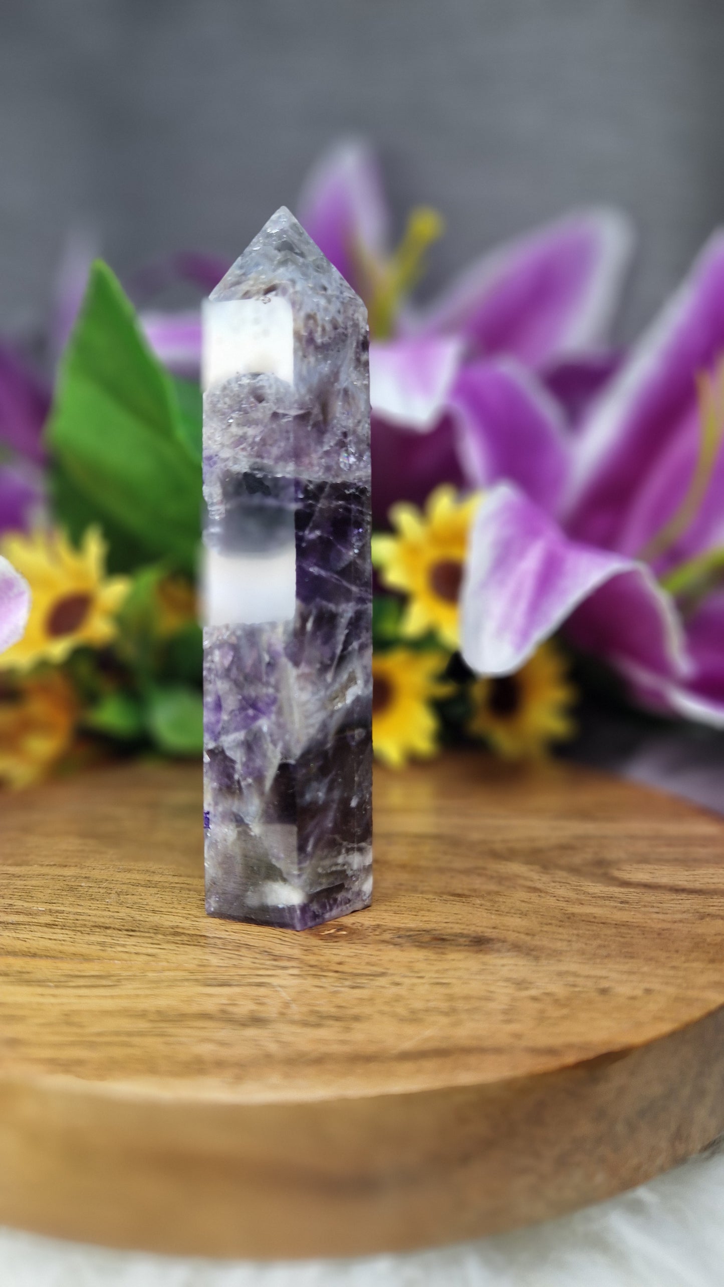Dream Amethyst Tower - 1052