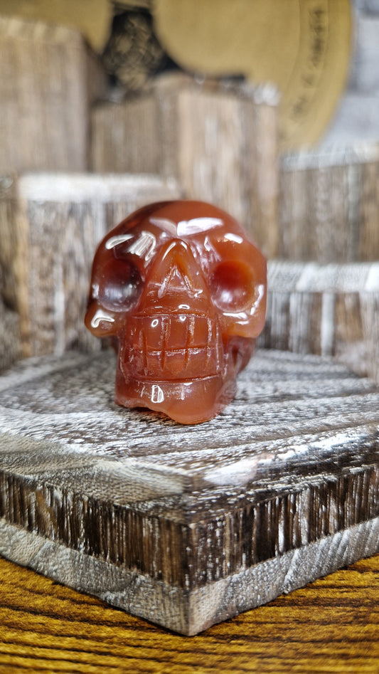 Carnelian Skull - 17