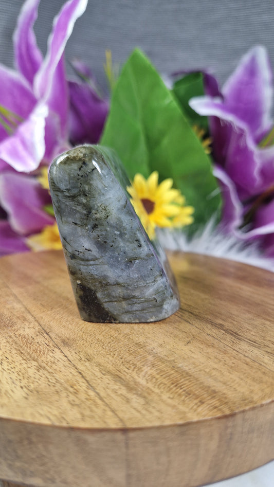 Labradorite Free Form - 36