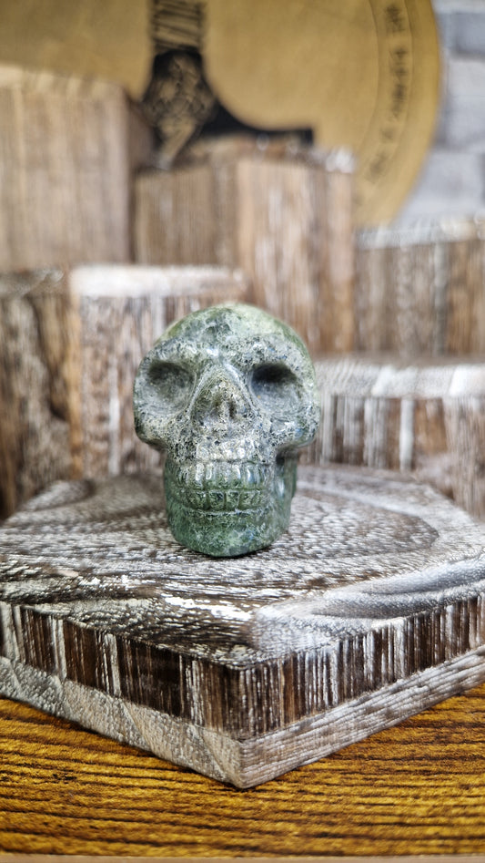 Ocean Jasper Skull - 22