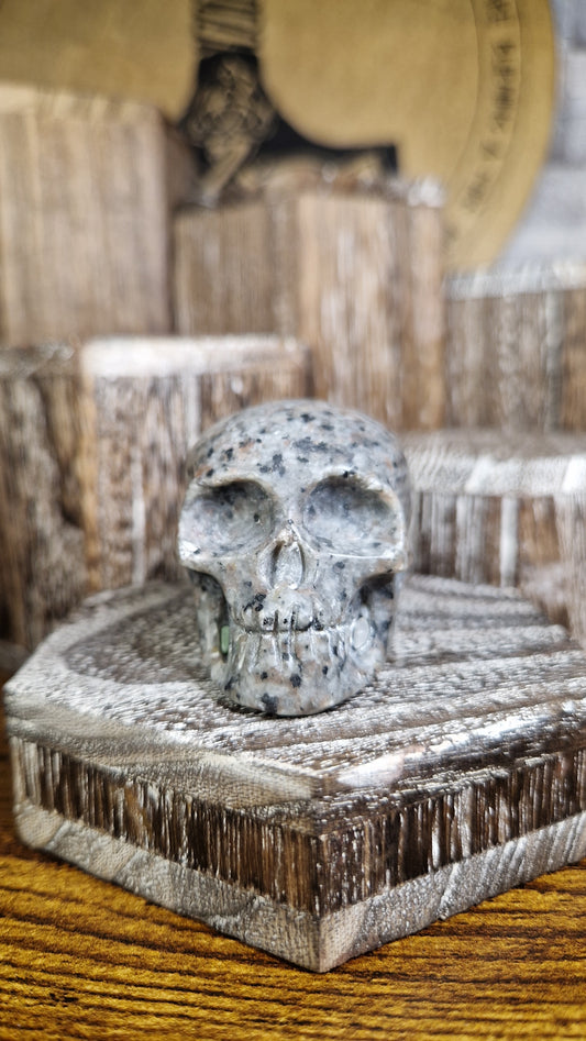 Yooperlite Skull - 16