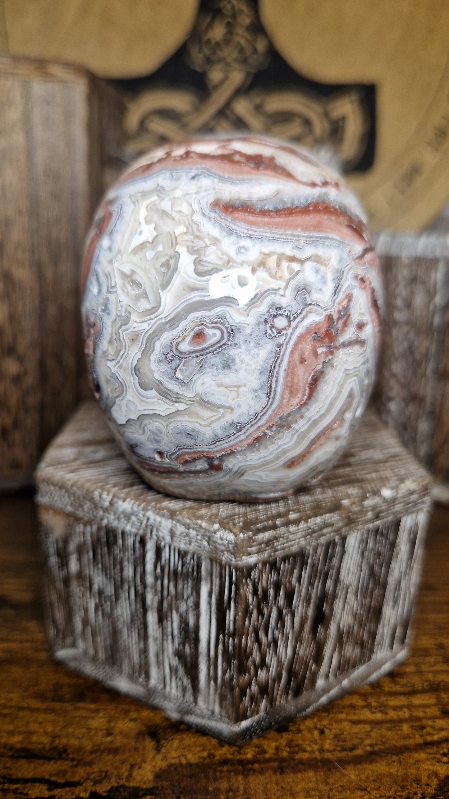 Crazy Lace Agate Skull - 4