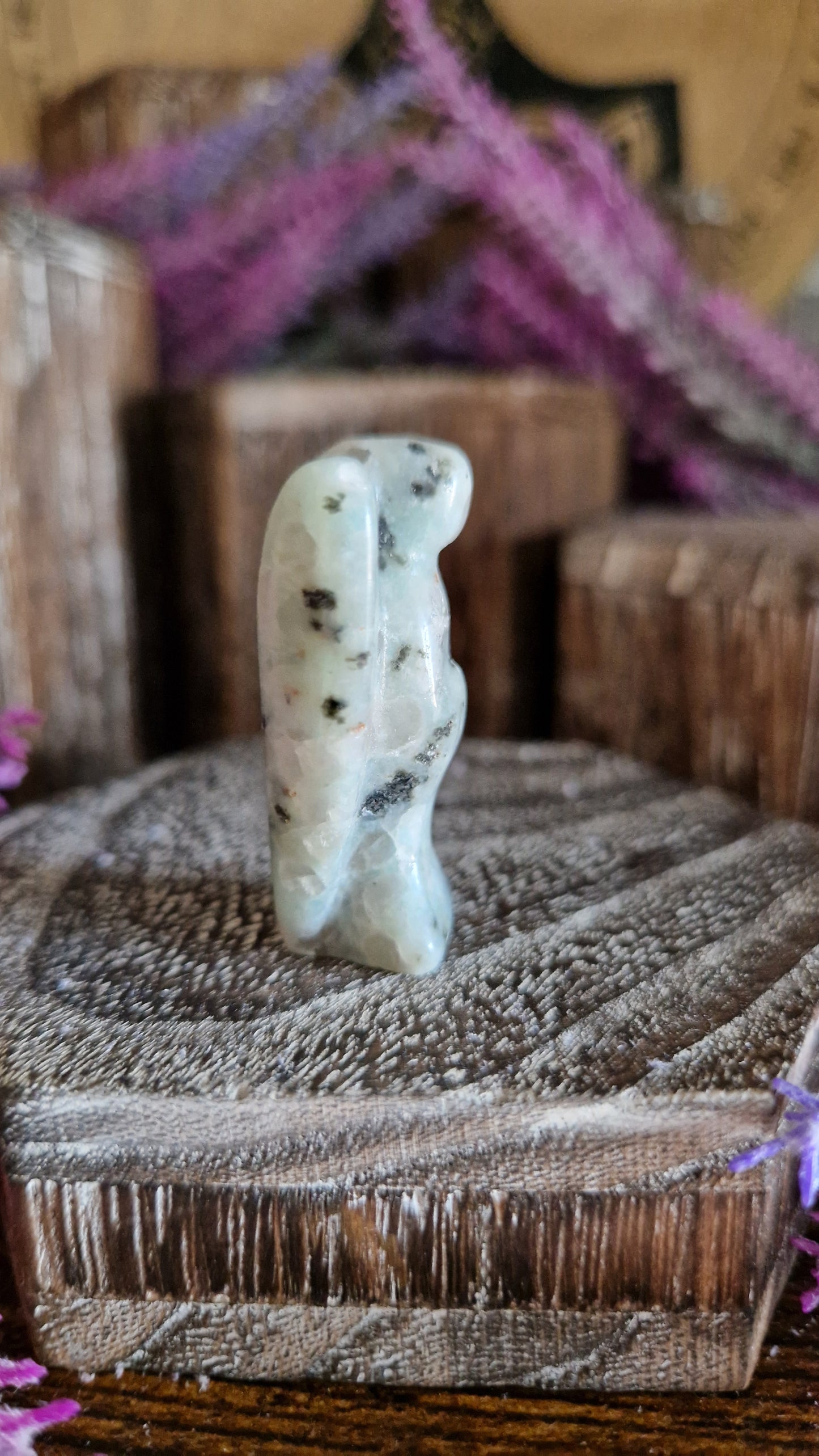 Kiwi Jasper Angel - 29