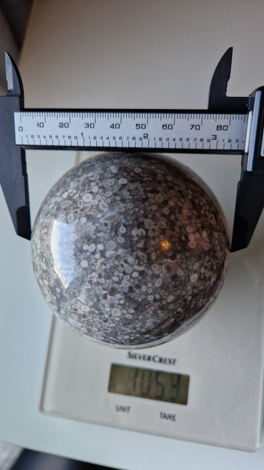 Shell Stone Sphere - 204