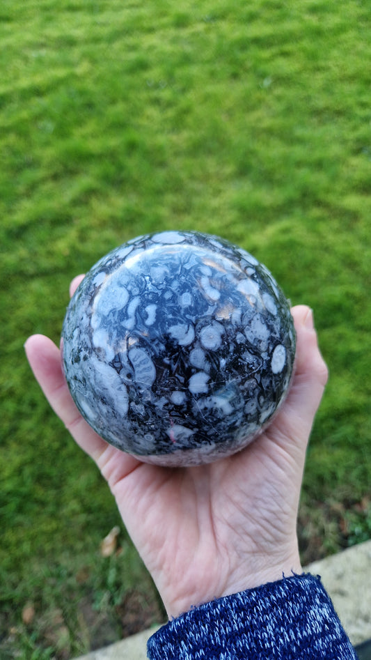 Shell Stone Sphere  - 182