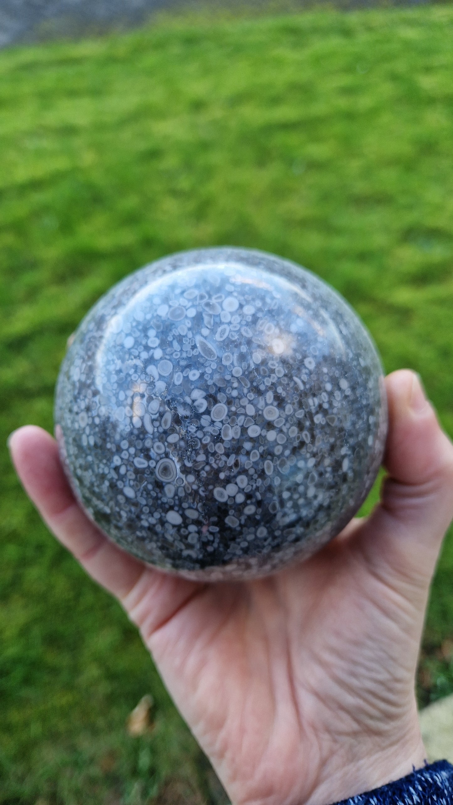 Shell Stone Sphere  - 204