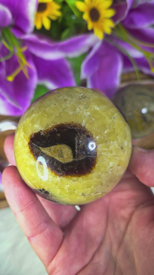 Septarian Sphere - 205