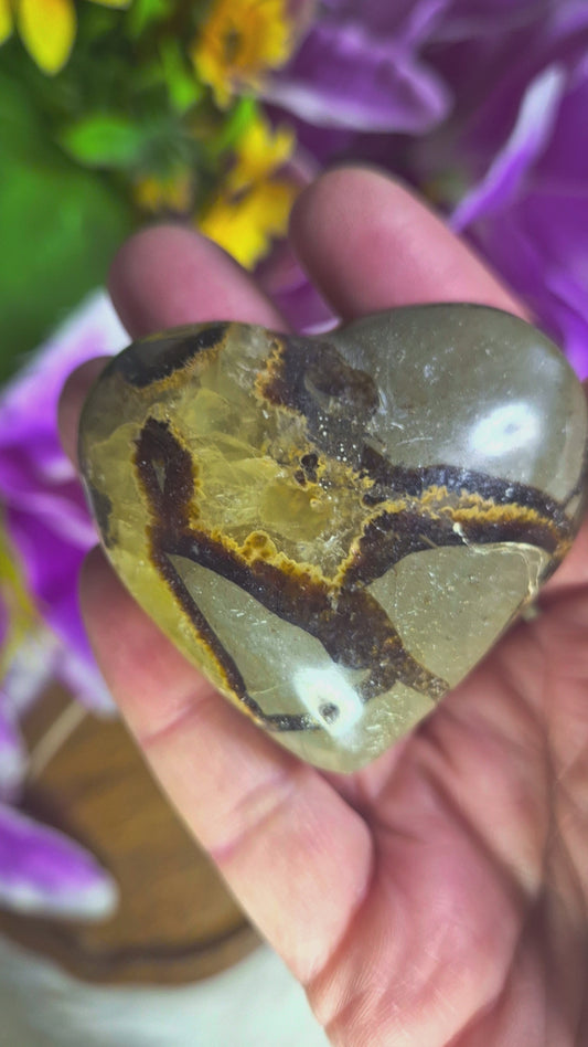 Septarian Heart - 420