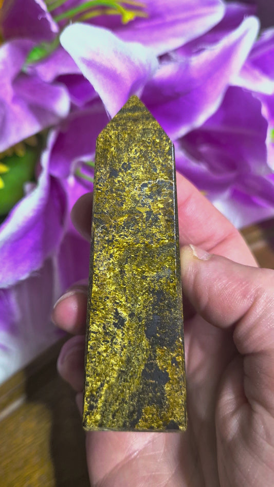 Bronzite Tower - 24