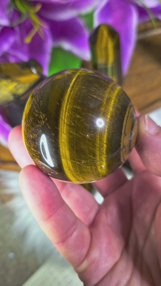 Tiger's Eye Sphere - 371