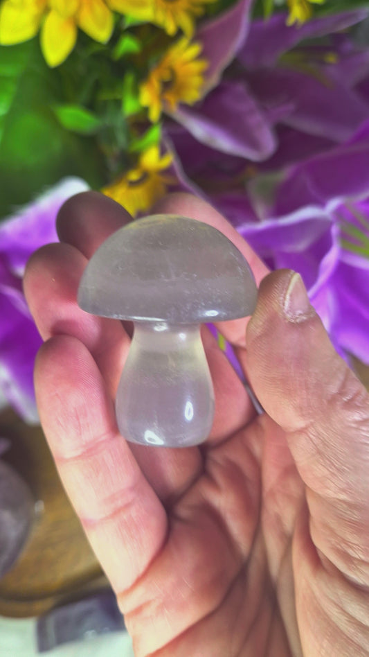 Fluorite Mushroom - 1206