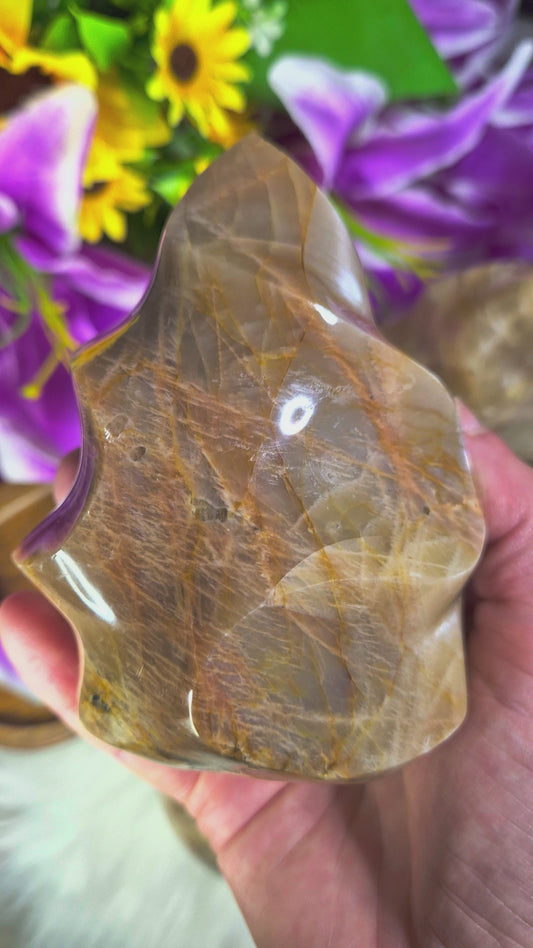 Peach Moonstone Flame - 185