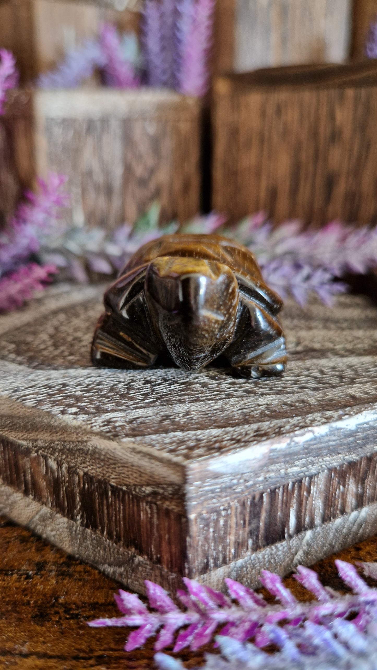 Tiger's Eye Turtle
