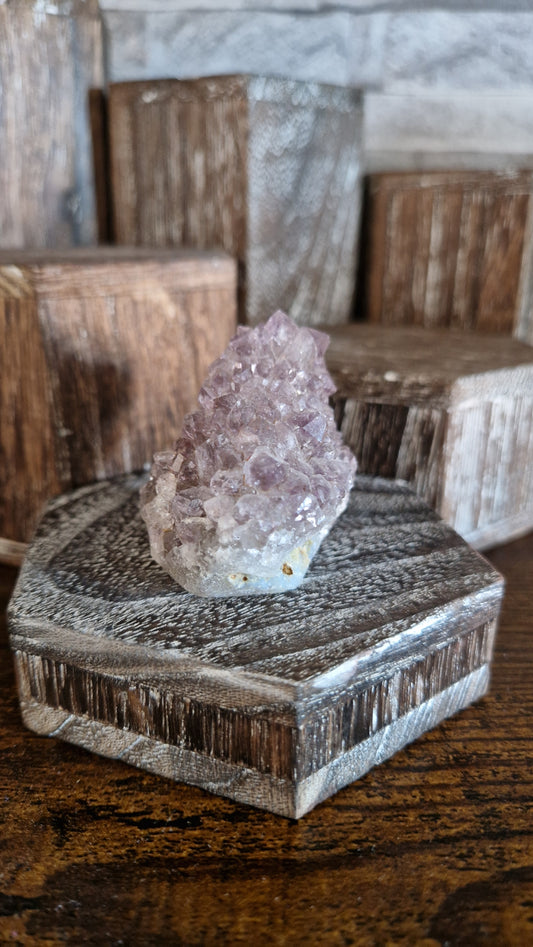 Ami Stalactite  - 237