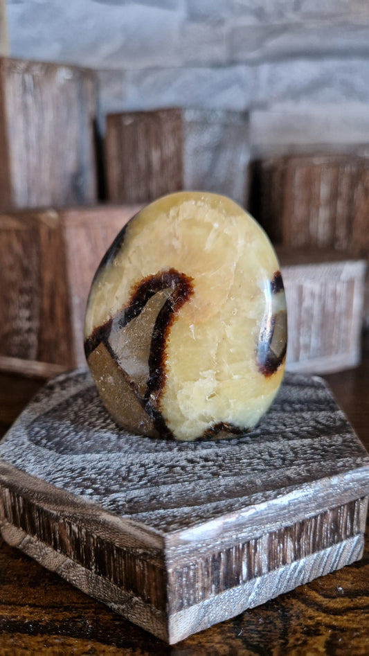 Septarian Free Form  - 246