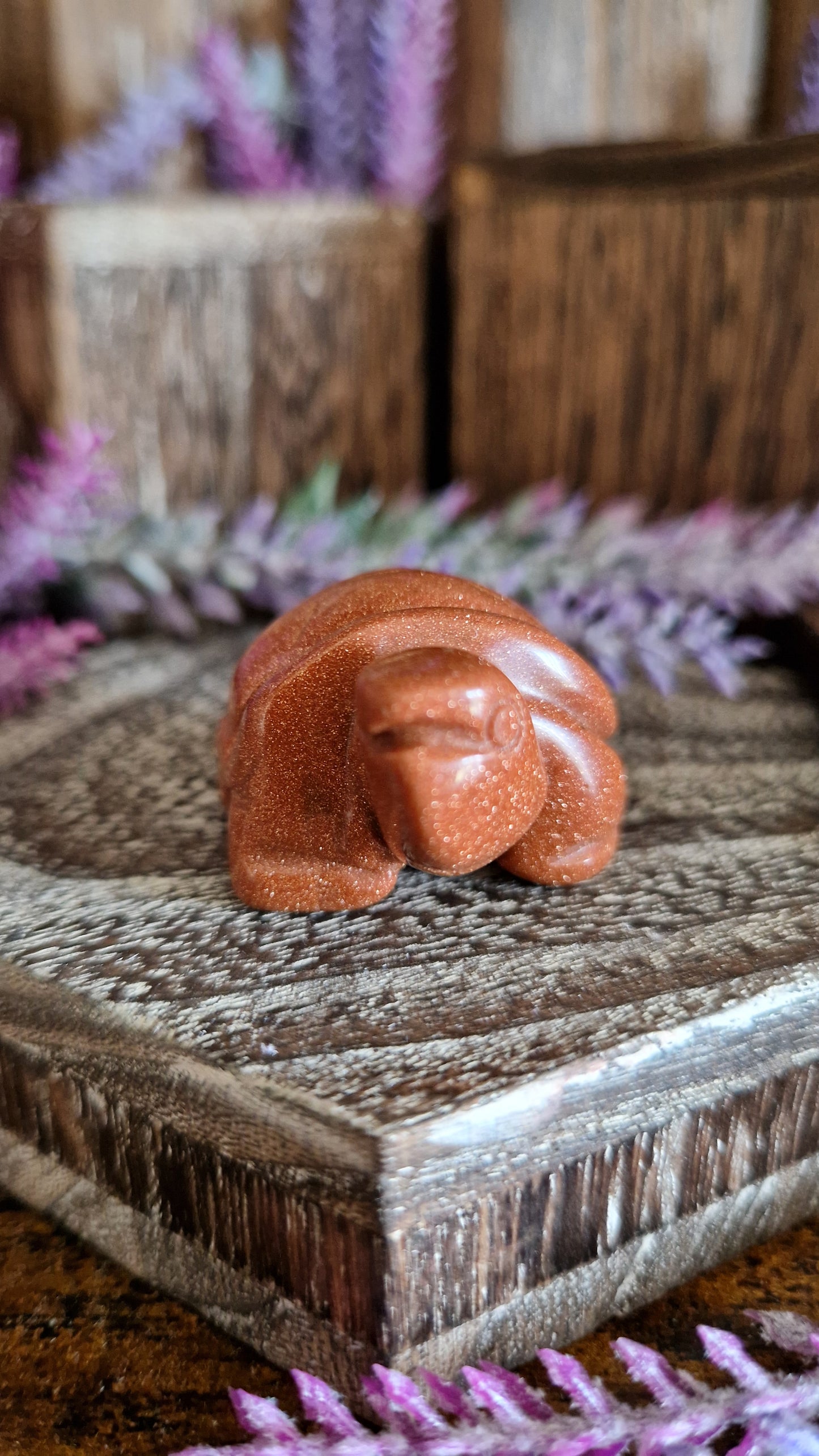 Sandstone Turtle