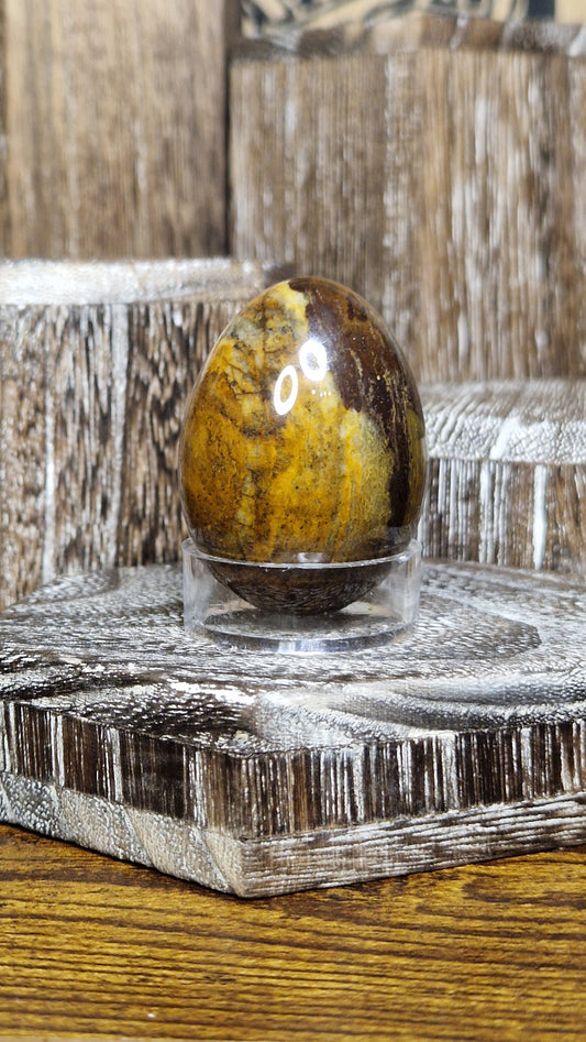 Petrified Wood - 19