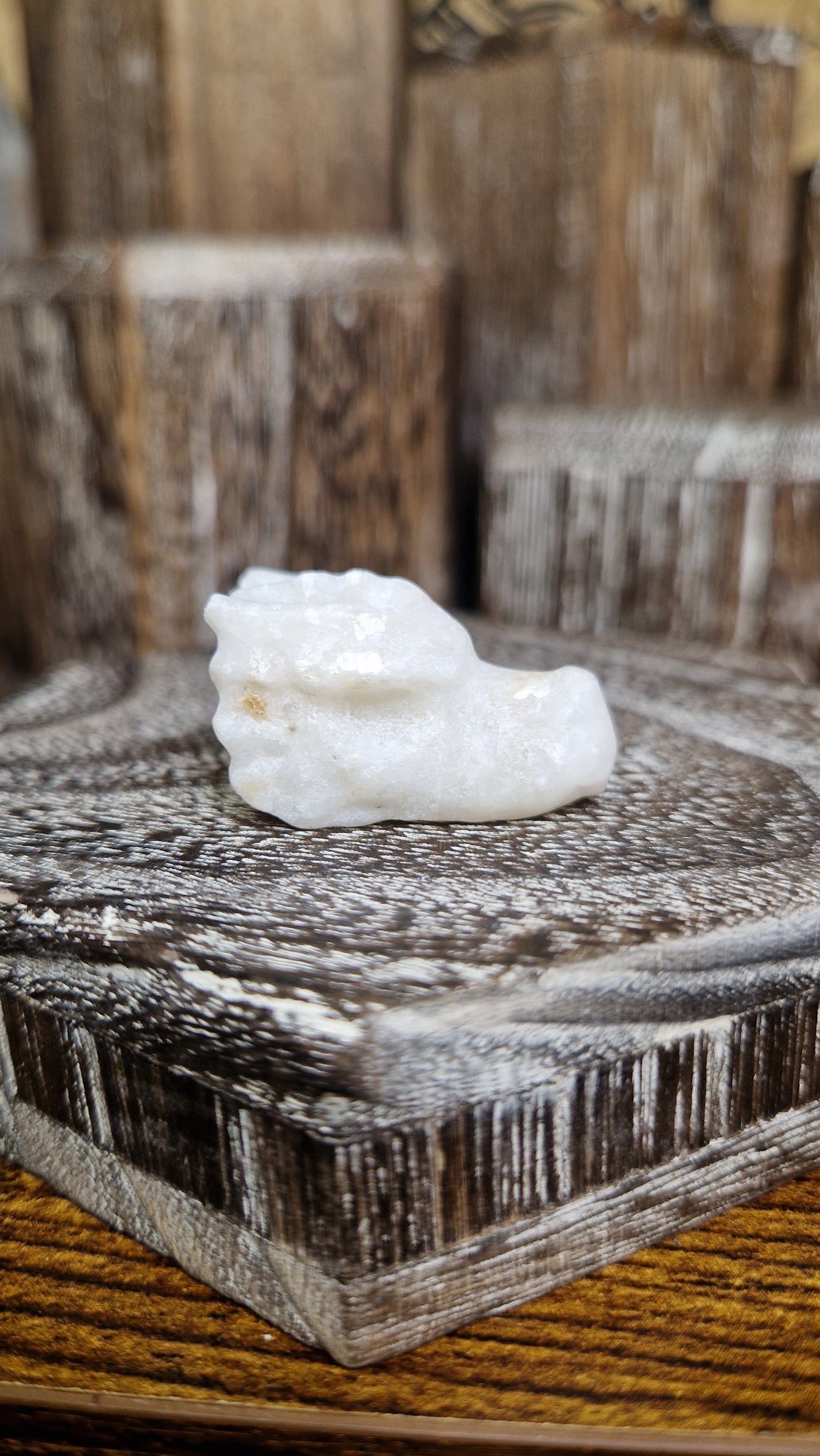 White Calcite Dragon's Head - 19
