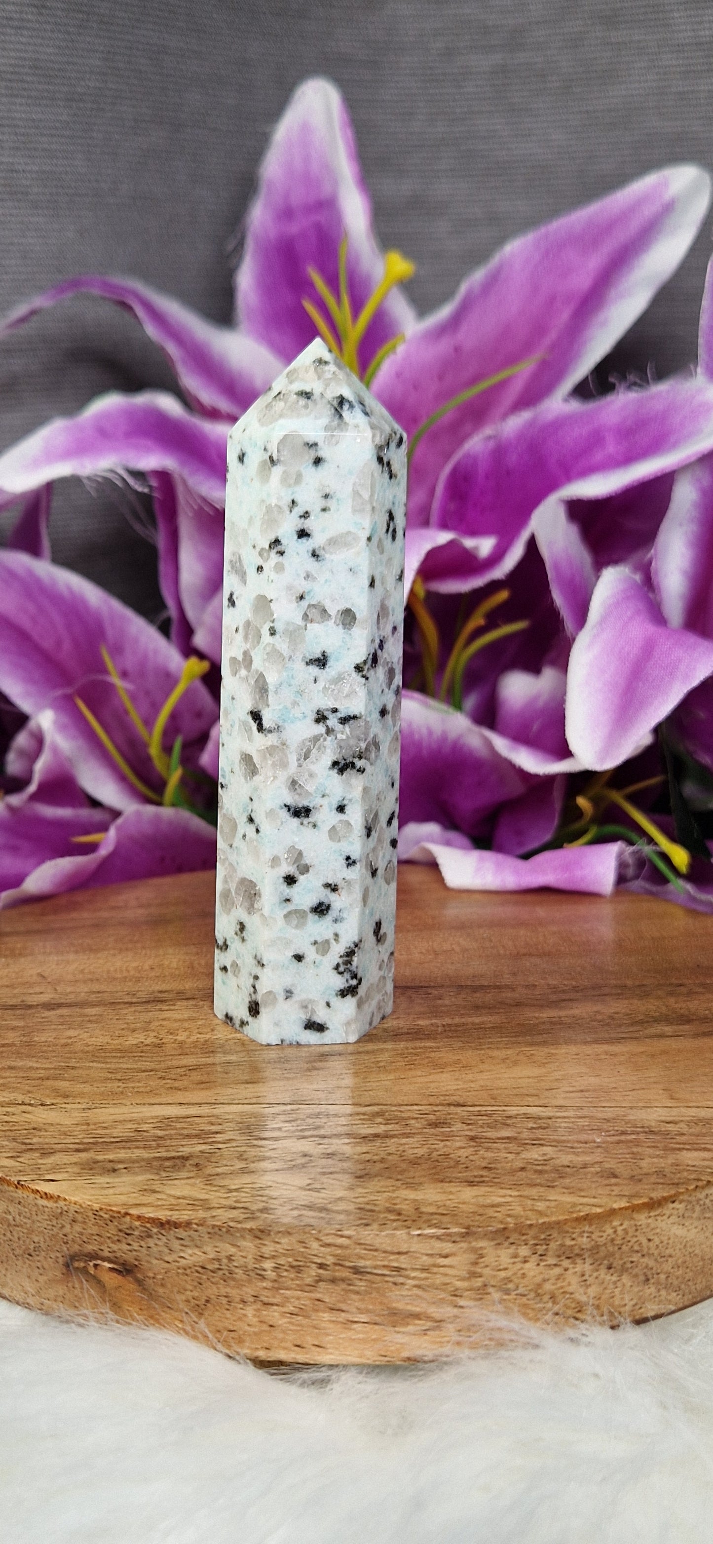 Kiwi Jasper Tower - 95