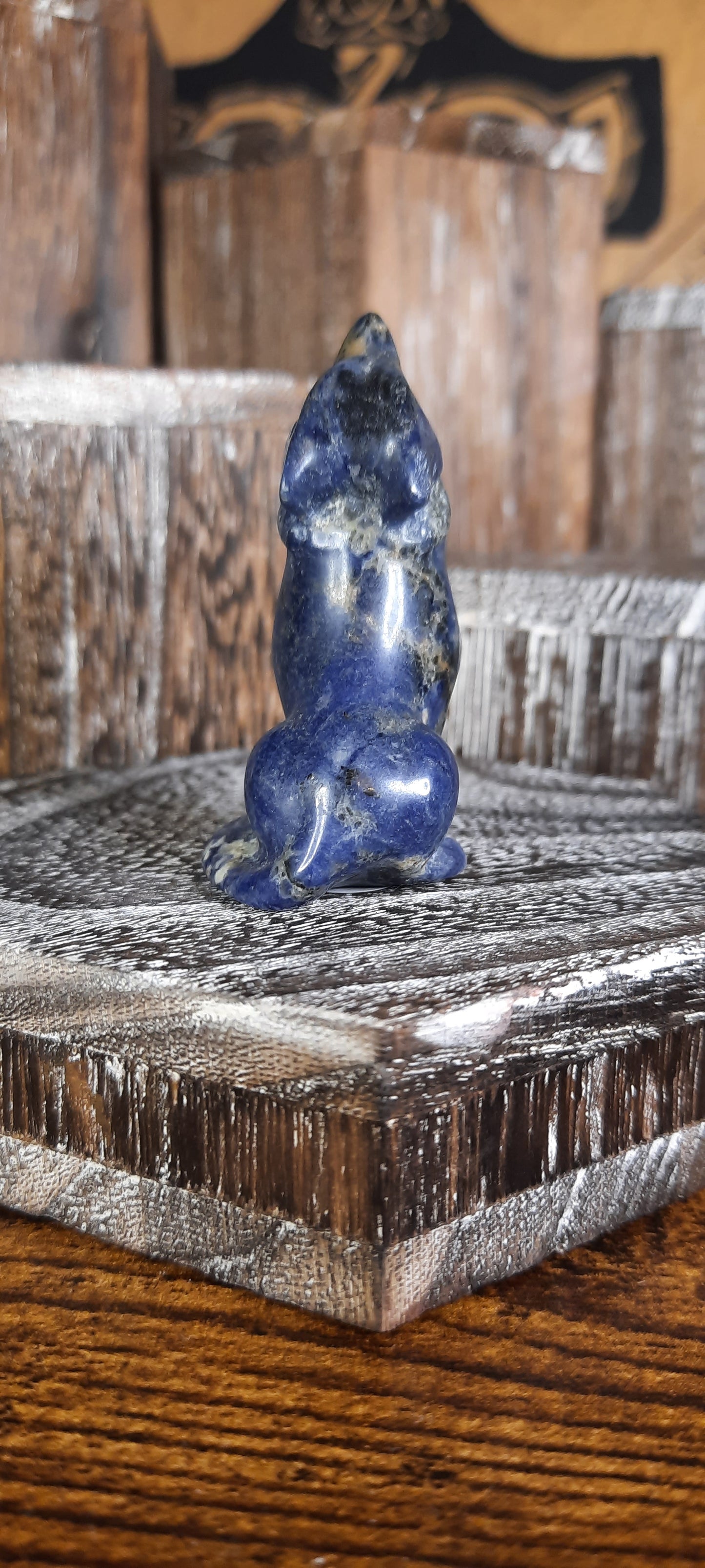 Sodalite Wolf - 7
