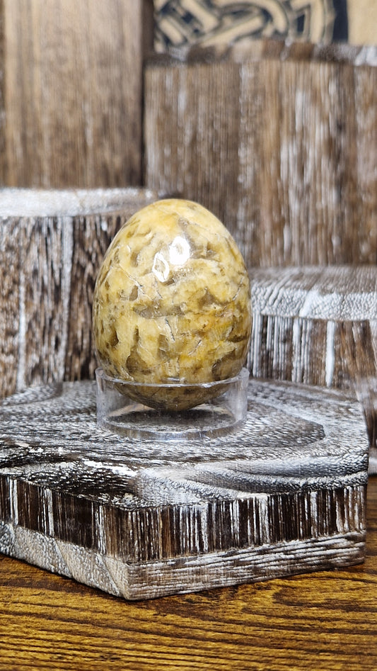 Picture Jasper Egg - 16