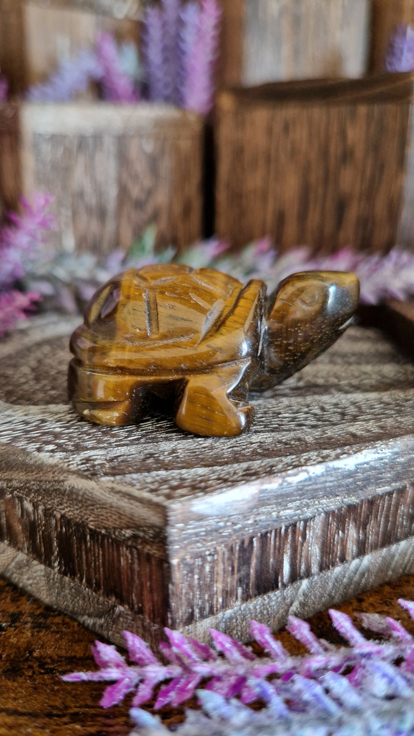 Tiger's Eye Turtle