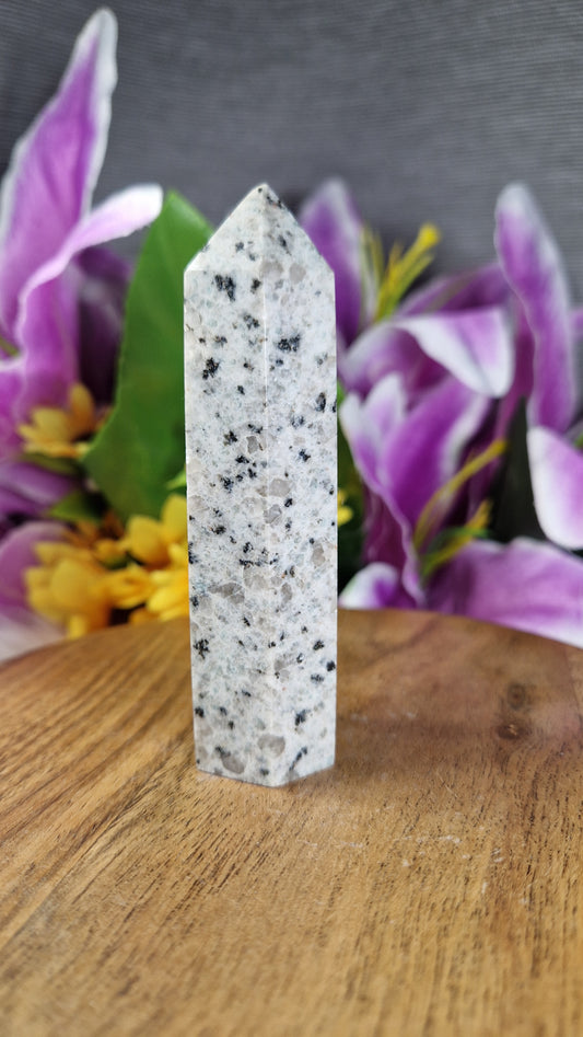 Kiwi Jasper Tower - 129