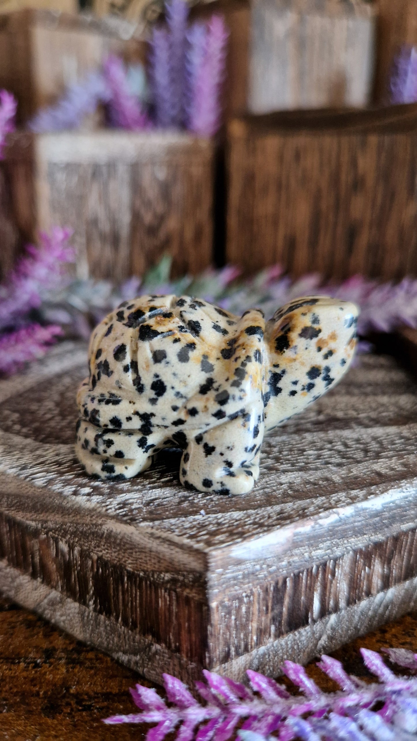 Dalmatian Jasper Turtle
