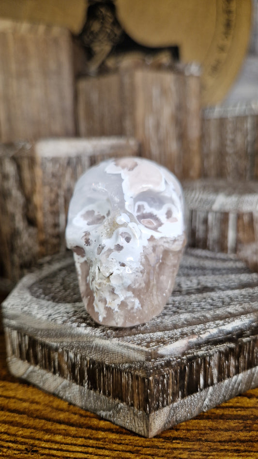 Flower Agate Skull - 14
