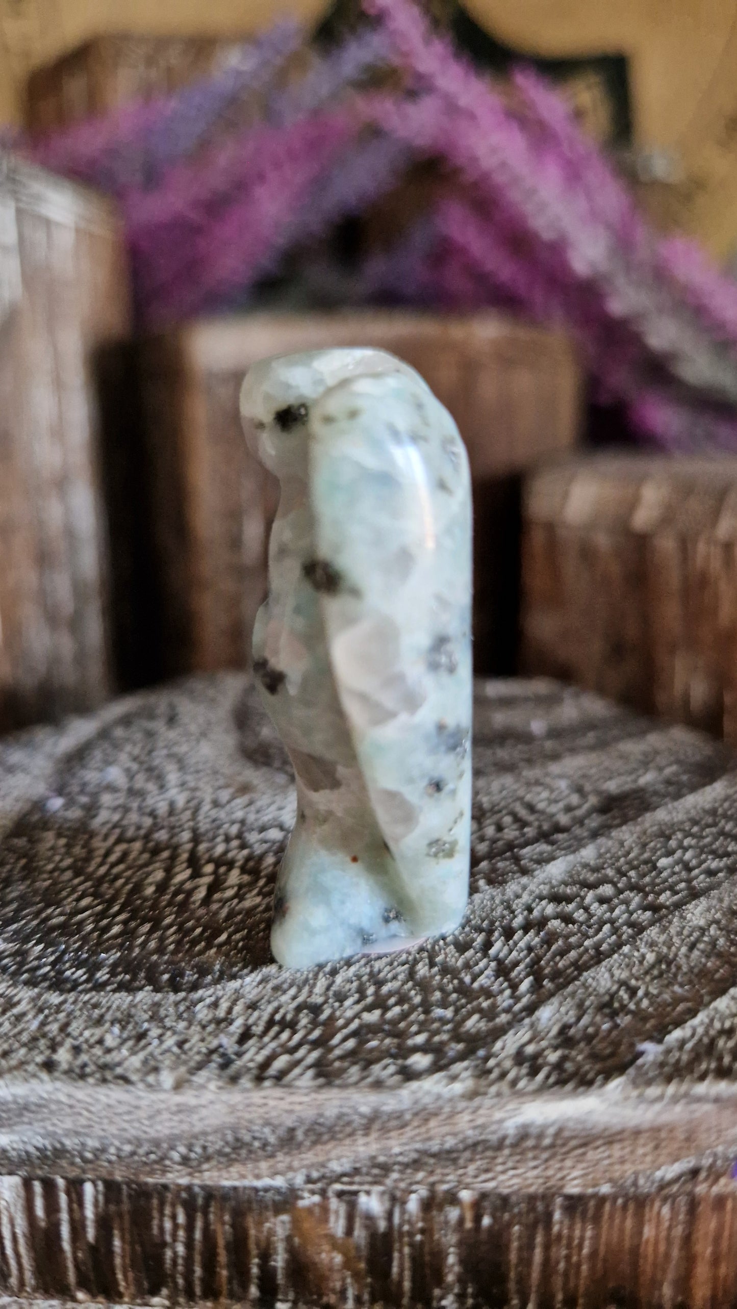 Kiwi Jasper Angel - 29