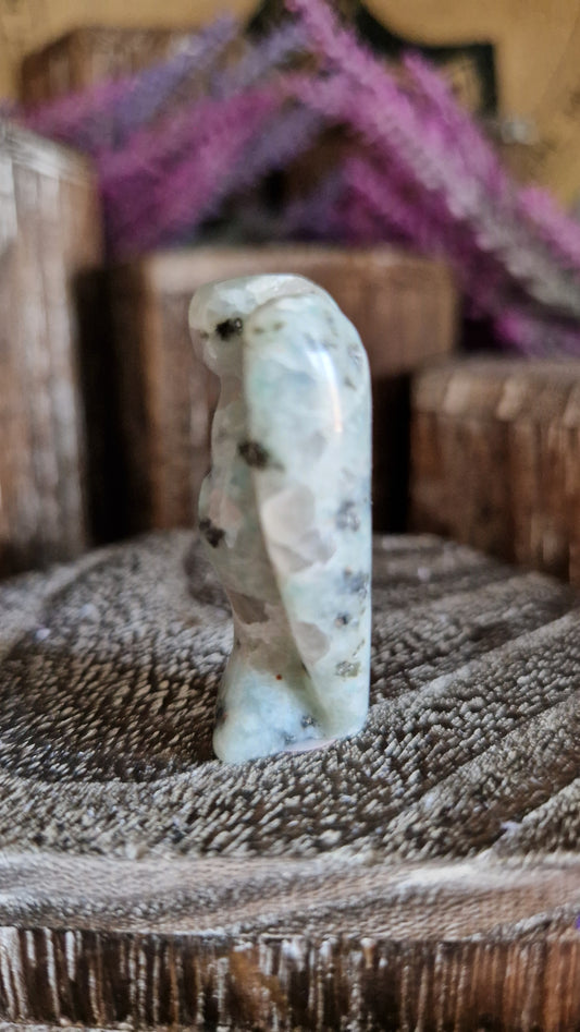 Kiwi Jasper Angel - 29