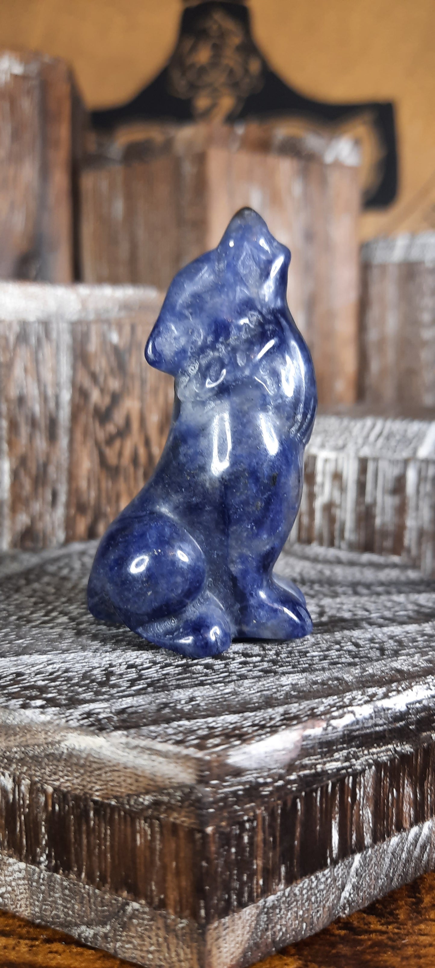 Sodalite Wolf - 8