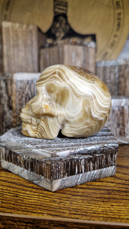 Chocolate Calcite Skull - 12