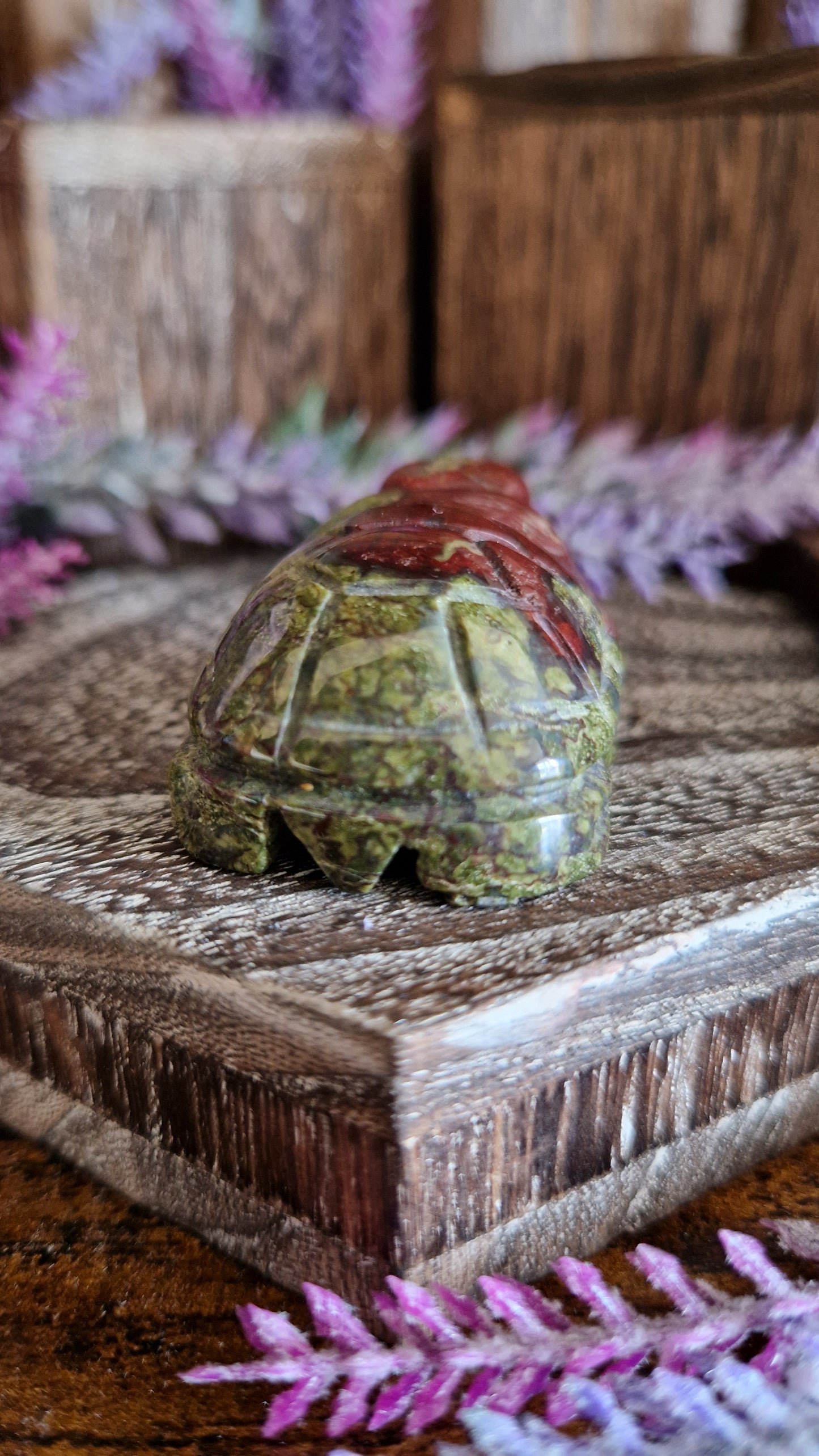Dragon's Blood Turtle