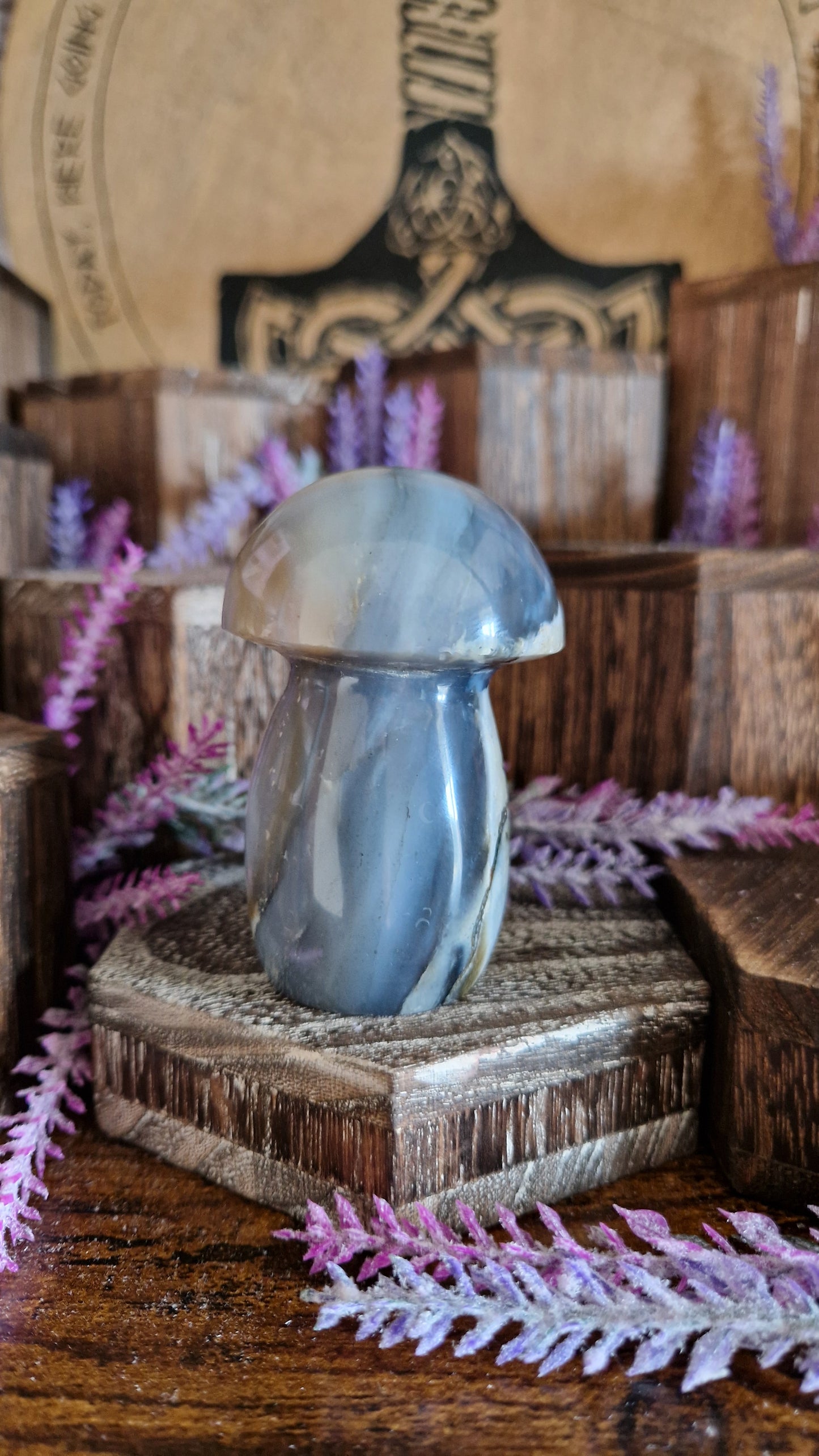 Ocean Jasper Mushroom