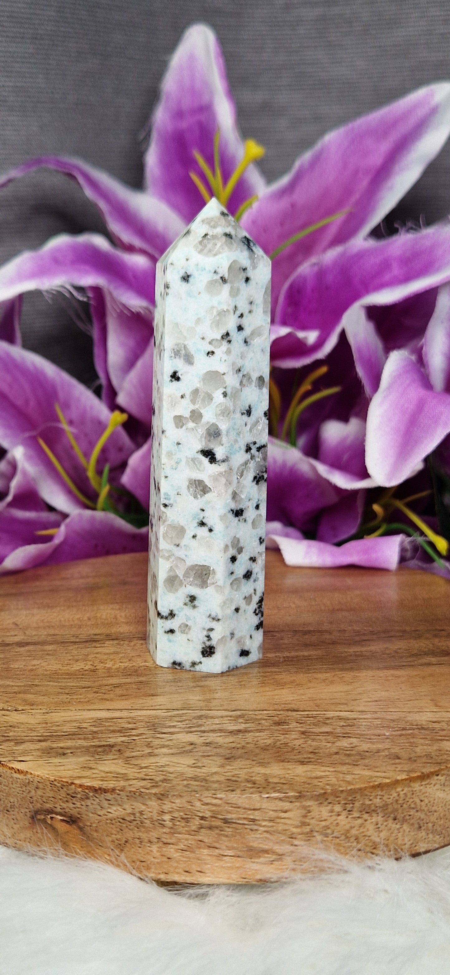 Kiwi Jasper Tower - 95