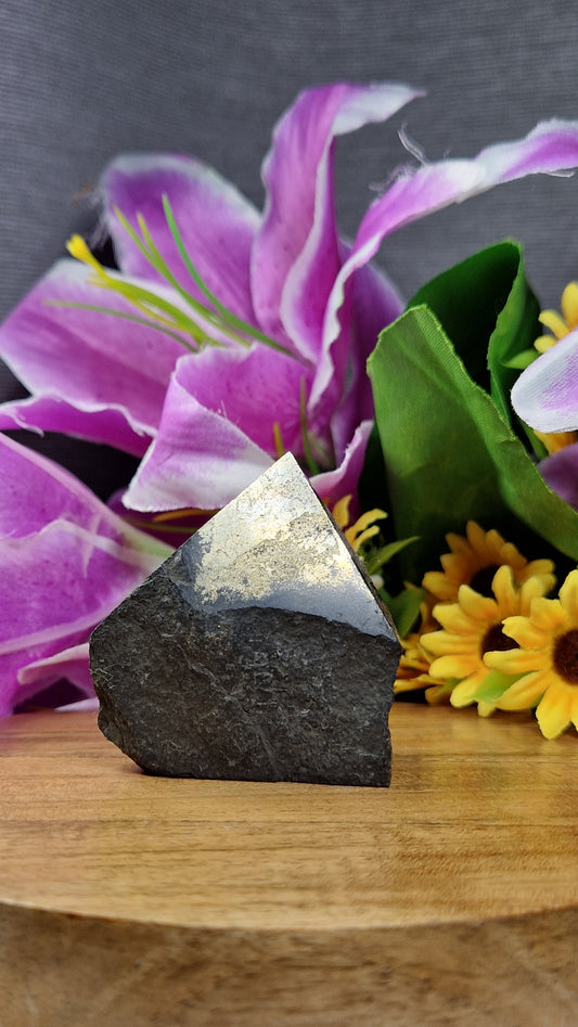 Pyrite Point - 81