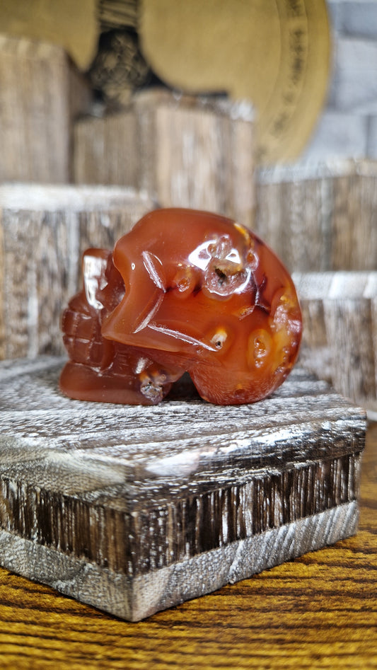 Carnelian Skull - 17