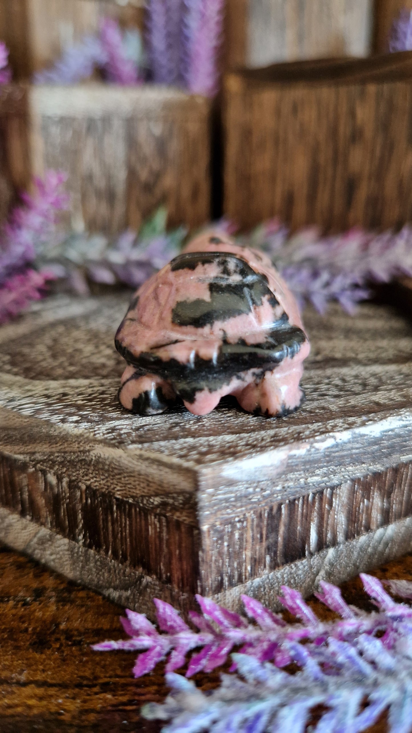 Rhodonite Turtle