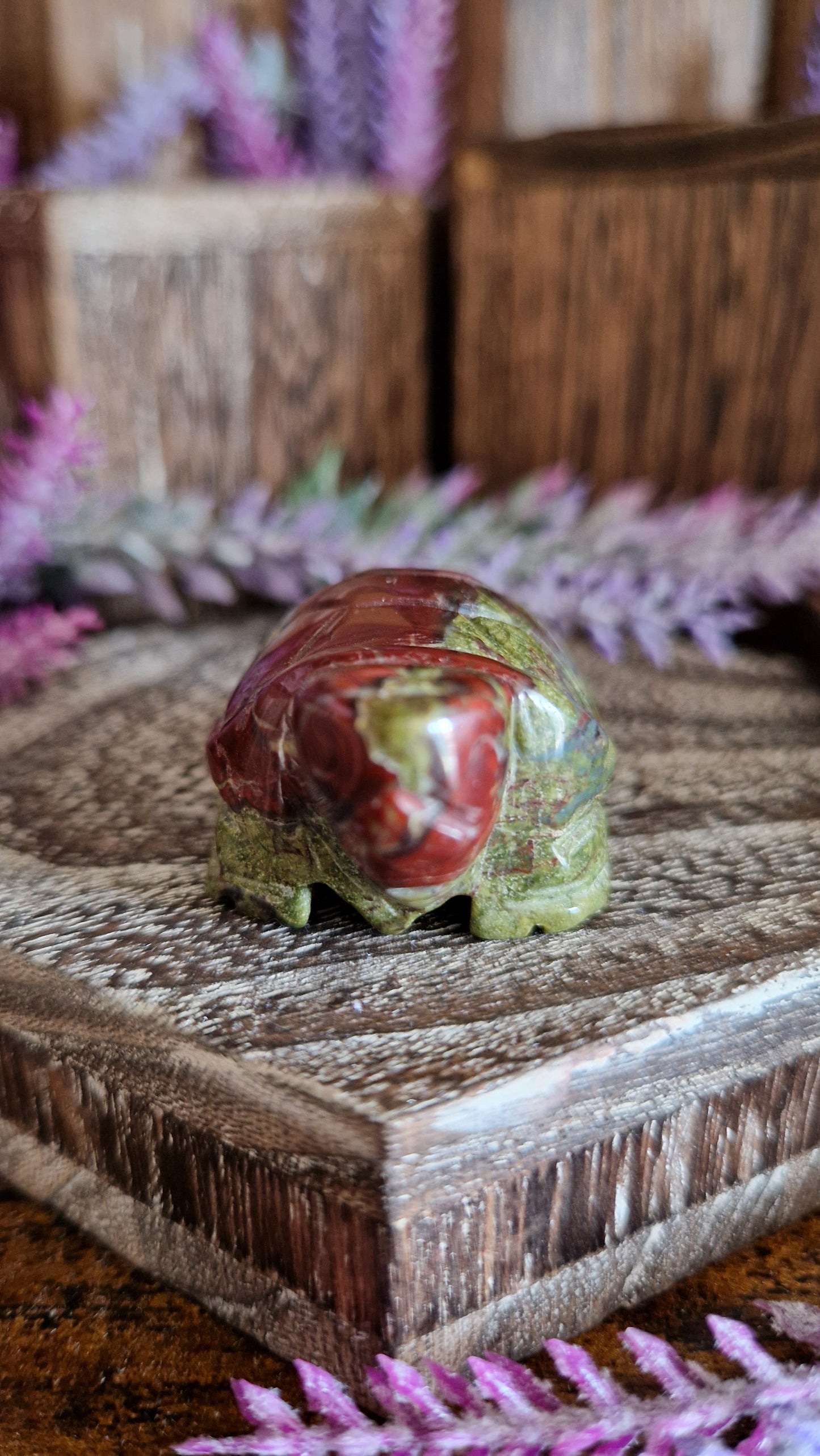 Dragon's Blood Turtle