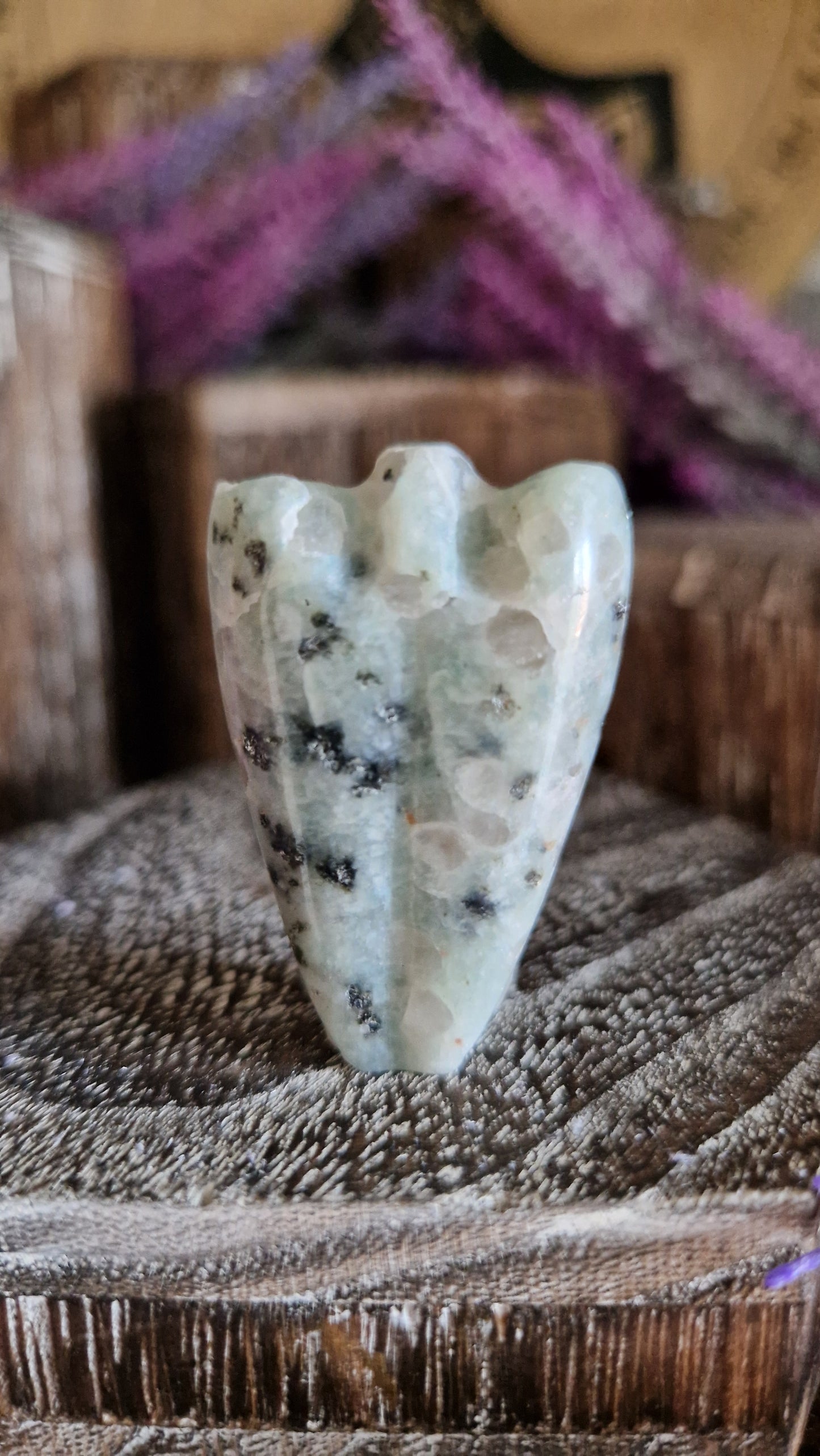 Kiwi Jasper Angel - 29